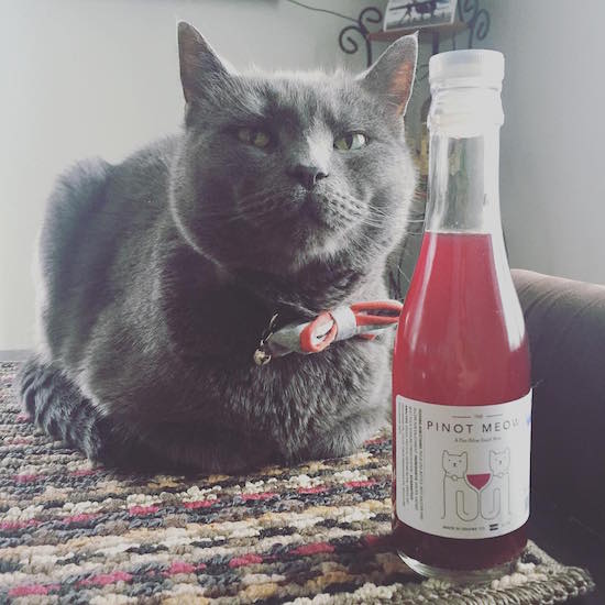 Never Drink Alone Again Thanks to This New Wine for Cats FabFitFun