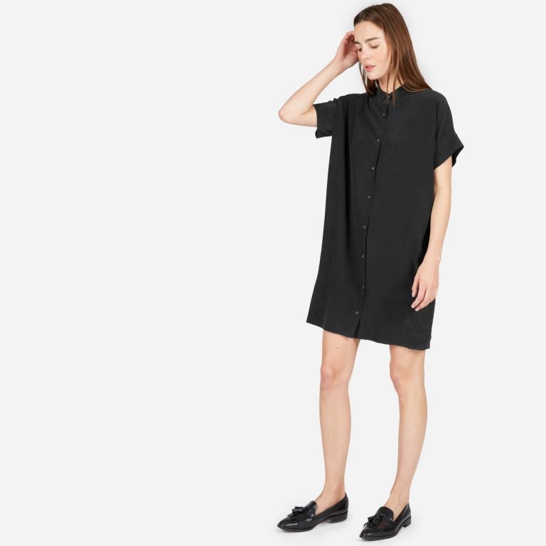 everlane white shirt dress