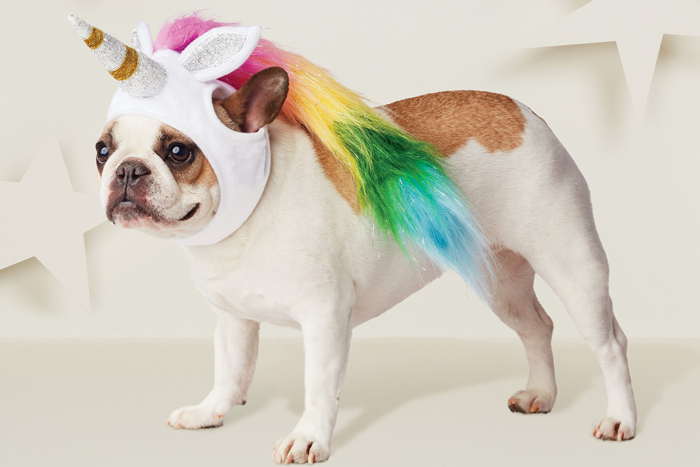 30 Adorable Dog Costumes That Won Halloween, Paws-Down – InspireMore