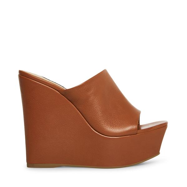 Steve Madden Barona Platform Wedge Sandal