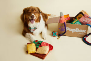 Introducing PupBox by FabFitFun - FabFitFun