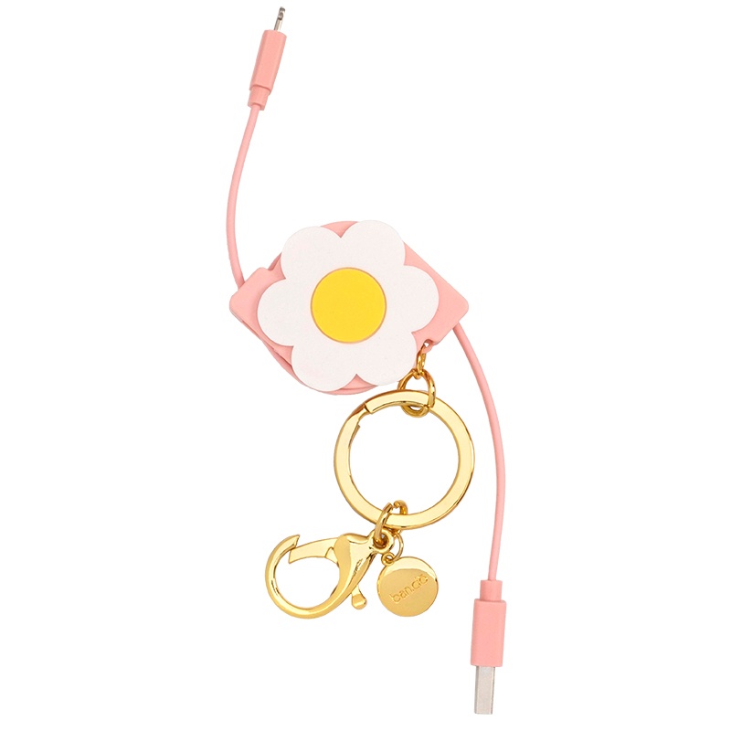 Retractable Charging Cord
