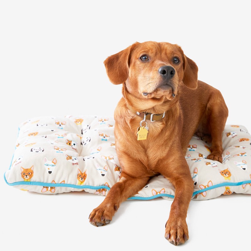 Medium Pet Bed